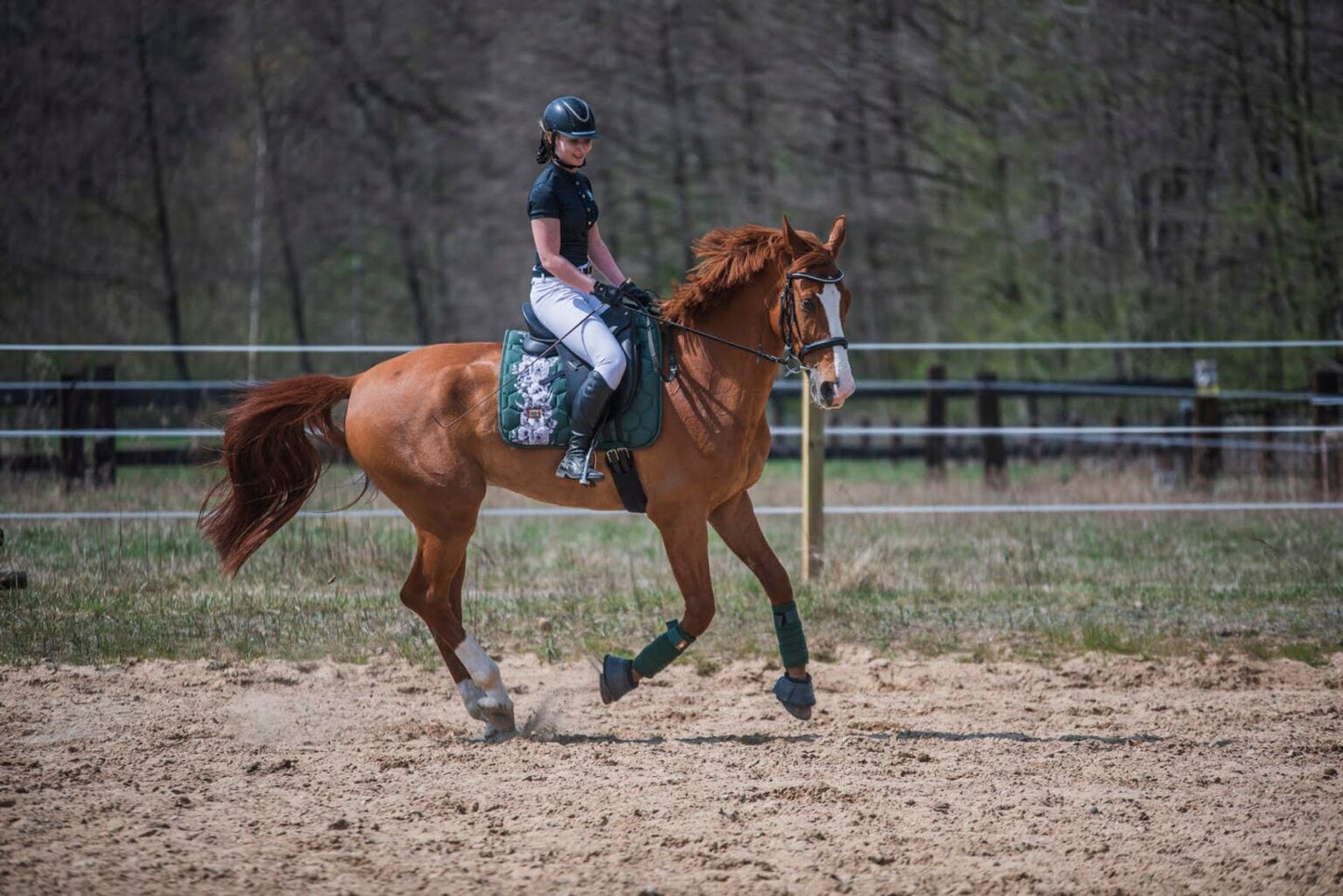 乗馬用ゼッケン 馬場用 障害用 バラ柄 グリーン